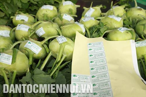 Các sản phẩm rau, củ, quả của Hợp tác xã rau an toàn Văn Đức trước khi đưa ra thị trường đều được dán tem an toàn và truy xuất nguồn gốc rõ ràng.