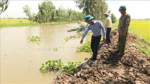 Cán bộ xã Thạnh Lợi, huyện Tháp Mười, tỉnh Đồng Tháp kiểm tra các ô bao xung yếu. Ảnh: Chương Đài - TTXVN Cán bộ xã Thạnh Lợi, huyện Tháp Mười, tỉnh Đồng Tháp kiểm tra các ô bao xung yếu. Ảnh: Chương Đài - TTXVN