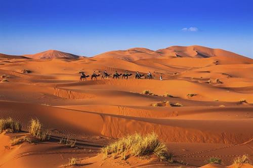 Merzouga gần sa mạc Sahara nổi tiếng, nơi du khách sẽ có được những trải nghiệm chân thật nhất về cuộc sống của người Bedouin. Cách tốt nhất để khám phá vùng đất kỳ diệu xung quanh Merzouga là nhảy lên lưng lạc đà và đi khắp nơi. Merzouga gần sa mạc Sahara nổi tiếng, nơi du khách sẽ có được những trải nghiệm chân thật nhất về cuộc sống của người Bedouin. Cách tốt nhất để khám phá vùng đất kỳ diệu xung quanh Merzouga là nhảy lên lưng lạc đà và đi khắp nơi.