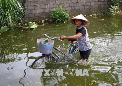 Người dân xã Tân Tiến, huyện Chương Mỹ (Hà Nội) đi lại khó khăn vì nước ngập sâu. Ảnh: Thanh Tùng - TTXVN Người dân xã Tân Tiến, huyện Chương Mỹ (Hà Nội) đi lại khó khăn vì nước ngập sâu. Ảnh: Thanh Tùng - TTXVN