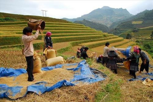 Ngày mùa vùng cao Tây Bắc. Ảnh: TTXVN Ruộng bậc thang - Nét đẹp văn hóa và công trình nghệ thuật độc đáo của đồng bào các dân tộc vùng cao phía Bắc. Ảnh: TTXVN Vẻ đẹp thơ mộng trên các thửa ruộng bậc thang huyện Mù Cang Chải, tỉnh Yên Bái trong mùa nước đổ. Ảnh: TTXVN Mùa gặt trên những thửa ruộng bậc thang huyện Mù Cang Chải (Yên Bái). Ảnh: TTXVN Rực rỡ mùa vàng Mù Cang Chải. Ảnh: TTXVN Thửa ruộng bậc thang hình trái tim ở xã La Pán Tẩn, huyện Mù Cang Chải, tỉnh Yên Bái. Ảnh: TTXVN Ruộng bậc thang Mù Cang Chải vào mùa lúa chín. Ảnh: TTXVN Vẻ đẹp ruộng bậc thang đồi Mâm Xôi, xã La Pán Tẩn, huyện Mù Cang Chải (Yên Bái). Ảnh: TTXVN Ngày mùa vùng cao Tây Bắc. Ảnh: TTXVN Ruộng bậc thang - Nét đẹp văn hóa và công trình nghệ thuật độc đáo của đồng bào các dân tộc vùng cao phía Bắc. Ảnh: TTXVN Vẻ đẹp thơ mộng trên các thửa ruộng bậc thang huyện Mù Cang Chải, tỉnh Yên Bái trong mùa nước đổ. Ảnh: TTXVN Mùa gặt trên những thửa ruộng bậc thang huyện Mù Cang Chải (Yên Bái). Ảnh: TTXVN Rực rỡ mùa vàng Mù Cang Chải. Ảnh: TTXVN Thửa ruộng bậc thang hình trái tim ở xã La Pán Tẩn, huyện Mù Cang Chải, tỉnh Yên Bái. Ảnh: TTXVN Ruộng bậc thang Mù Cang Chải vào mùa lúa chín. Ảnh: TTXVN Vẻ đẹp ruộng bậc thang đồi Mâm Xôi, xã La Pán Tẩn, huyện Mù Cang Chải (Yên Bái). Ảnh: TTXVN