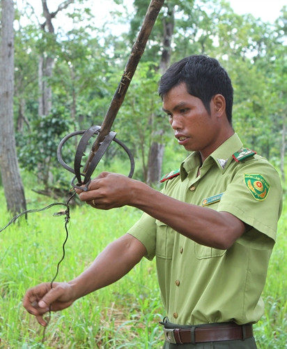 : Lực lượng kiểm lâm đi kiểm tra, tháo dỡ bẫy thú.