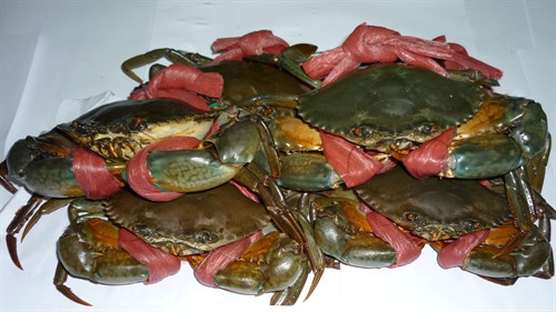 Vang danh đặc sản cua Năm Căn - Cà Mau ảnh 2 Vang danh đặc sản cua Năm Căn - Cà Mau ảnh 2