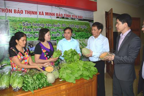 Các đại biểu thăm các gian hàng sản phẩm nông nghiệp của tỉnh Yên Bái. Ảnh: Việt Dũng - TTXVN