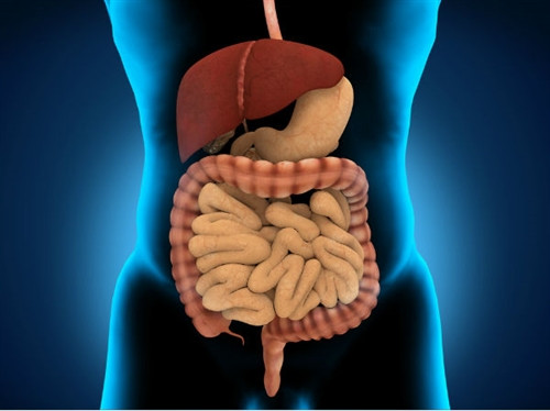 Vì sao người Ấn Độ uống nước mía mỗi ngày vào mùa hè? ảnh 2 Vì sao người Ấn Độ uống nước mía mỗi ngày vào mùa hè? ảnh 2