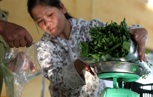 Hà Nội nâng cao chất lượng rau an toàn ảnh 5