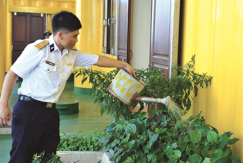 Thiếu úy Phan Văn Định chăm sóc rau xanh trên Nhà giàn DK1/7 Huyền Trân Thiếu úy Phan Văn Định chăm sóc rau xanh trên Nhà giàn DK1/7 Huyền Trân