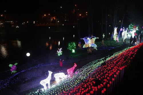 Nhưng bông hồng rực rỡ sắc màu trong đêm. Ảnh: Việt Dũng - TTXVN Nhưng bông hồng rực rỡ sắc màu trong đêm. Ảnh: Việt Dũng - TTXVN