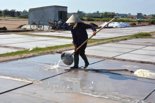 Sản xuất muối ở huyện Giao Thủy. Ảnh Công Luật-TTXVN Sản xuất muối ở huyện Giao Thủy. Ảnh Công Luật-TTXVN