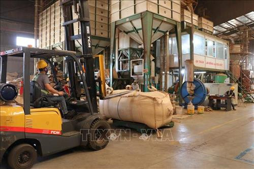 Công nhân làm việc tại doanh nghiệp FDI ACOM, khu công nghiệp Trà Đa, tỉnh Gia Lai. Ảnh: Hoài Nam – TTXVN Công nhân làm việc tại doanh nghiệp FDI ACOM, khu công nghiệp Trà Đa, tỉnh Gia Lai. Ảnh: Hoài Nam – TTXVN