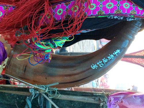 Chiếc sừng trâu khắc tên người đàn ông làm chủ gia đình thể hiện quyền sở hữu, sử dụng của họ.