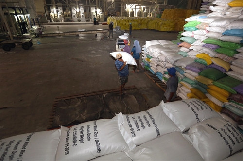 Năm 2016, Công ty Cổ phần Tân Đồng Tiến, thành phố Tân An, phấn đấu sản xuất và xuất khẩu hơn 200.000 tấn gạo, đạt doanh thu 120 triệu USD. Ảnh: Vũ Sinh – TTXVN