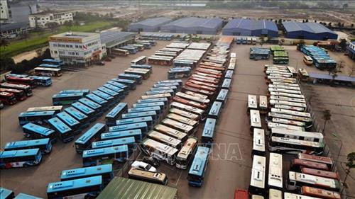 Xe buýt bị cắt giảm đỗ chật kín sân đỗ tại Xí nghiệp Buýt Thăng Long Hà Nội. Ảnh: Danh Lam – TTXVN