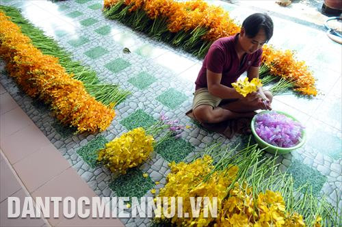 Vườn lan Ba Được mỗi tháng thu mua từ 35.000-40.000 cành lan, mỗi cành có giá khoảng 5.000 đồng