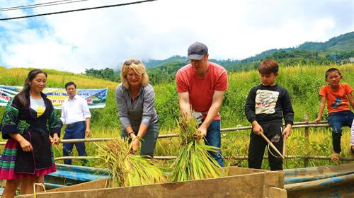 Du khách trải nghiệm mùa vàng ở xã Lao Chải, huyện Sa Pa (Lào Cai). Ảnh: Cao Hương - TTXVN Du khách trải nghiệm mùa vàng ở xã Lao Chải, huyện Sa Pa (Lào Cai). Ảnh: Cao Hương - TTXVN
