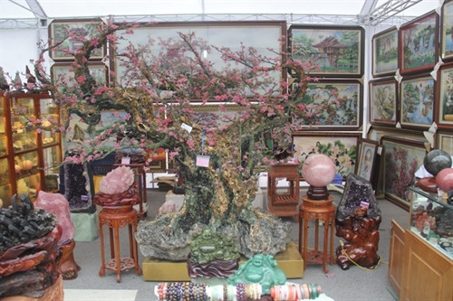 Festival sinh vật cảnh Thủ đô lần thứ nhất ảnh 4