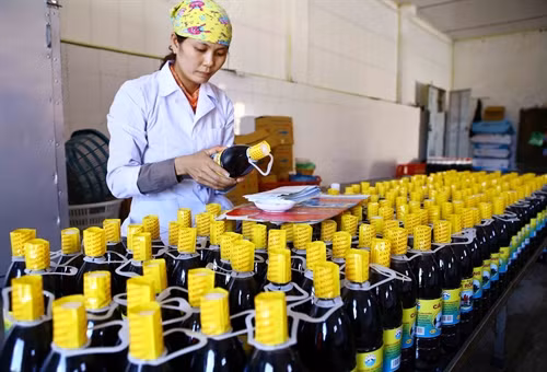 Cơ sở sản xuất nước mắm truyền thống Cái Rồng Lưu Văn Dỹ thuộc Công ty Cổ phần Thuỷ sản Cái Rồng (huyện Vân Đồn).