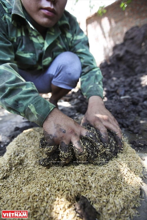 Làng đúc đồng Đại Bái ảnh 1