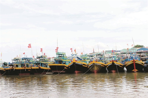Bình Thuận có khoảng 2.000 tàu, thuyền công suất lớn chuyên đánh bắt xa bờ