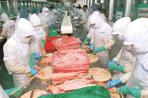 Chế biến hải sản xuất khẩu đang là thế mạnh của tỉnh Bình Thuận