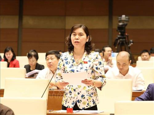 Đại biểu Quốc hội tỉnh Bắc Ninh Trần Thị Hằng phát biểu. Ảnh: Phương Hoa - TTXVN Đại biểu Quốc hội tỉnh Bắc Ninh Trần Thị Hằng phát biểu. Ảnh: Phương Hoa - TTXVN