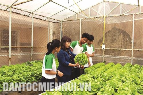 Hướng dẫn học sinh Trường phổ thông dân tộc nội trú tỉnh Lâm Đồng trồng rau công nghệ cao. Ảnh: Chu Quốc Hùng