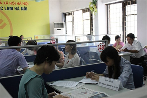 Nhiều sinh viên ra trường thất nghiệp ảnh 1