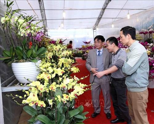 Các đại biểu tham quan gian hàng trưng bày tại Hội chợ ngày khai mạc. Ảnh: Vũ Sinh – TTXVN Các đại biểu tham quan gian hàng trưng bày tại Hội chợ ngày khai mạc. Ảnh: Vũ Sinh – TTXVN