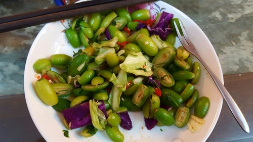 Những vị thuốc quý từ quả nhót ảnh 2 Những vị thuốc quý từ quả nhót ảnh 2