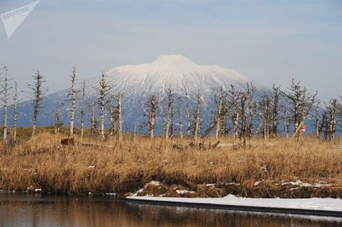 Tyatya, ngọn núi lửa cao 1.819m vẫn đang hoạt động, nằm ở phía Đông Bắc đảo Kunashir.