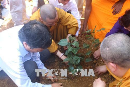 Trồng cây Bồ Đề thiêng tại chùa Tam Chúc. Ảnh: Nguyễn Thị Chinh-TTXVN Trồng cây Bồ Đề thiêng tại chùa Tam Chúc. Ảnh: Nguyễn Thị Chinh-TTXVN