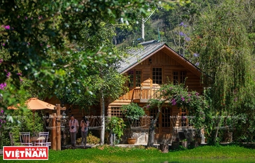 Huyền bí Ma Rừng lữ quán ảnh 9