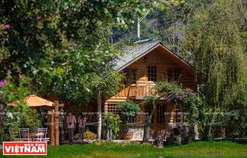 Huyền bí Ma Rừng lữ quán ảnh 9