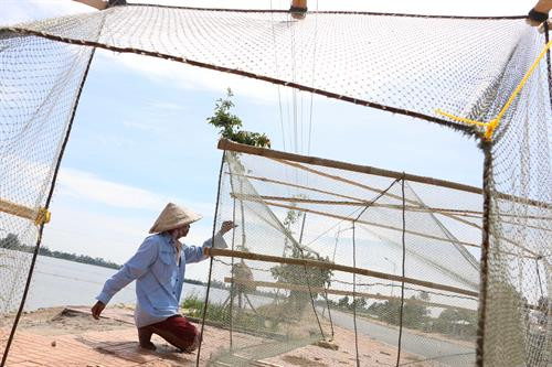 Lợp quay - dụng cụ để bắt cá dưới sông trong mùa nước nổi. Ảnh: Duy Khương - TTXVN