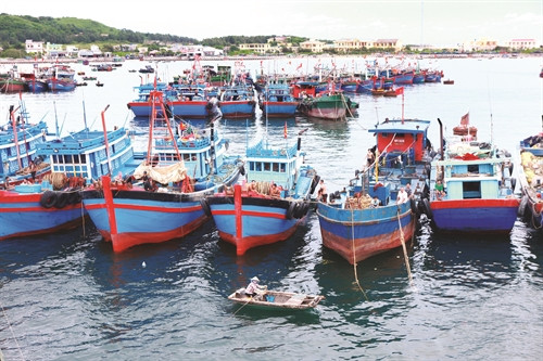 Tàu, thuyền neo đậu tại âu cảng Bạch Long Vĩ, nơi có sức chứa hơn 1.000 tàu, thuyền