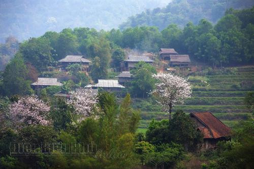 Thung lũng mây trên đỉnh đèo Pha Đin. Khung cảnh thanh bình trên cánh đồng Mường Thanh. Ảnh: V.T.C Bản của người Khơ Mú (xã Keo Lôm, huyện Điện Biên Đông). Ảnh: V.T.C Một góc thị xã Mường Lay. Ảnh: V.T.C Thung lũng Nậm Cổ Hú (xã Thanh Nưa, huyện Điện Biên). Ảnh: V.T.C Mùa hoa ban nở. Ảnh: V.T.C Đây là loại hoa đặc trưng ở vùng Tây Bắc. Ảnh: V.T.C Hoa ban tràn ngập khắp bản làng Điện Biên. Ảnh: V.T.C Vẻ đẹp tinh khiết, mong manh của hoa ban làm say đắm lòng người. Ảnh: V.T.C Hoa ban ngợp trên phố. Ảnh: V.T.C Loài hoa trắng này gắn với câu chuyện về một tình yêu bất tử nơi núi rừng. Ảnh: V.T.C Thung lũng mây trên đỉnh đèo Pha Đin. Khung cảnh thanh bình trên cánh đồng Mường Thanh. Ảnh: V.T.C Bản của người Khơ Mú (xã Keo Lôm, huyện Điện Biên Đông). Ảnh: V.T.C Một góc thị xã Mường Lay. Ảnh: V.T.C Thung lũng Nậm Cổ Hú (xã Thanh Nưa, huyện Điện Biên). Ảnh: V.T.C Mùa hoa ban nở. Ảnh: V.T.C Đây là loại hoa đặc trưng ở vùng Tây Bắc. Ảnh: V.T.C Hoa ban tràn ngập khắp bản làng Điện Biên. Ảnh: V.T.C Vẻ đẹp tinh khiết, mong manh của hoa ban làm say đắm lòng người. Ảnh: V.T.C Hoa ban ngợp trên phố. Ảnh: V.T.C Loài hoa trắng này gắn với câu chuyện về một tình yêu bất tử nơi núi rừng. Ảnh: V.T.C