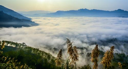 Thơ mộng và trữ tình, Đèo Tằng Quái khiến du khách ngẩn ngơ khi ngắm nhìn trời mây bao phủ núi non Thơ mộng và trữ tình, Đèo Tằng Quái khiến du khách ngẩn ngơ khi ngắm nhìn trời mây bao phủ núi non