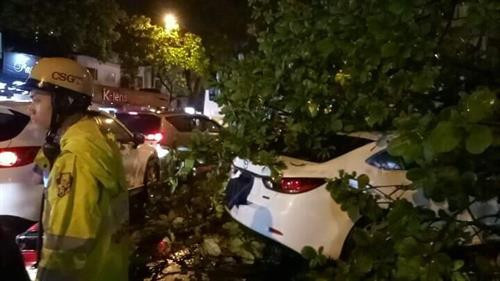 Mưa lớn gây đổ cây trên đường Thợ Nhuộm. Ảnh: Trọng Đạt – TTXVN