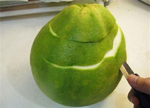 Vỏ bưởi - vị thuốc hay ít người biết ảnh 1 Vỏ bưởi - vị thuốc hay ít người biết ảnh 1