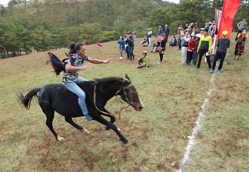 Đà Lạt: Độc đáo đua ngựa không yên trên đồi cỏ hồng ảnh 5 Đà Lạt: Độc đáo đua ngựa không yên trên đồi cỏ hồng ảnh 5
