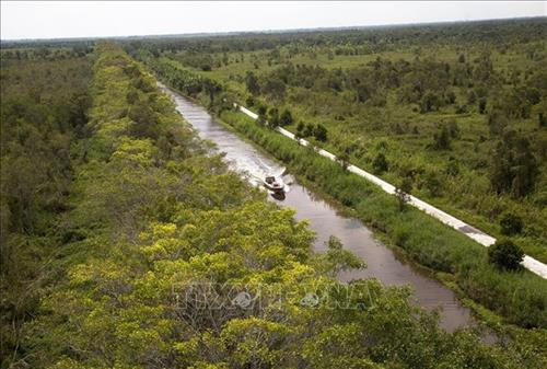 Vườn Quốc gia U Minh Thượng, tỉnh Kiên Giang - vườn quốc gia thứ 5 của Việt Nam được công nhận là Vườn Di sản ASEAN. Ảnh: Hồng Đạt - TTXVN