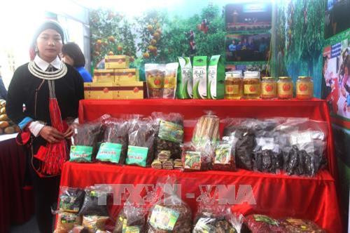 Nhiều mặt hàng nông sản của các mô hình đoàn viên thanh niên trẻ Hà Giang giới thiệu tại Diễn đàn. Ảnh: Minh Tâm-TTXVN