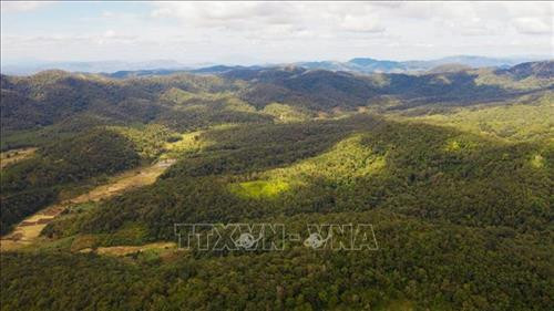 Một góc vườn Quốc gia Kon Ka Kinh. Ảnh: Dư Toán - TTXVN Một góc vườn Quốc gia Kon Ka Kinh. Ảnh: Dư Toán - TTXVN