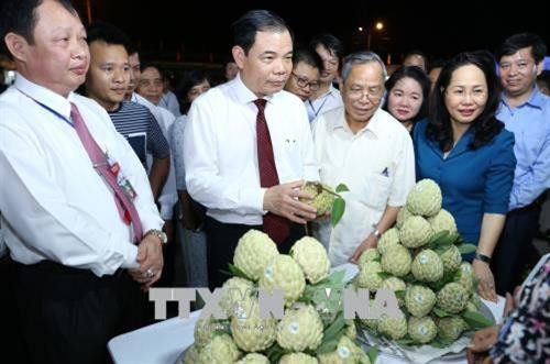 Bộ trưởng Bộ Nông nghiệp và Phát triển nông thôn Nguyễn Xuân Cường và các đại biểu tham quan một gian trưng bày na Chi Lăng. Ảnh: Vũ Sinh, Phạm Hậu - TTXVN Bộ trưởng Bộ Nông nghiệp và Phát triển nông thôn Nguyễn Xuân Cường và các đại biểu tham quan một gian trưng bày na Chi Lăng. Ảnh: Vũ Sinh, Phạm Hậu - TTXVN