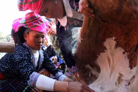 Ngắm vẻ đẹp mộc mạc của phụ nữ vùng cao Tây Bắc ảnh 11