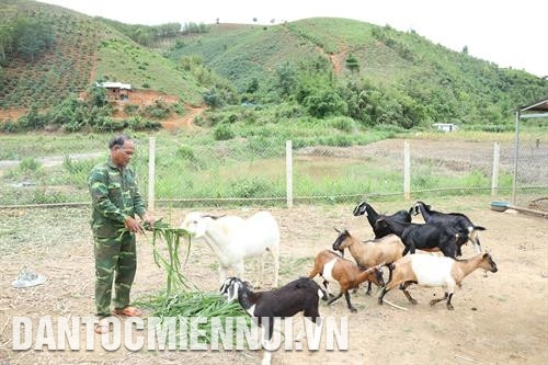Người Brâu đã biết trồng lúa nước 2 vụ, trồng cây công nghiệp dài ngày và ứng dụng tiến bộ khoa học - kỹ thuật vào sản xuất. Ảnh: Minh Nhật Chiêng tha là báu vật trong văn hóa của đồng bào Brâu. Ảnh: Minh Nhật Những người Brâu có uy tín thường xuyên vận động đồng bào xóa bỏ hủ tục lạc hậu, tiếp cận các phương thức sản xuất mới…. Ảnh: Minh Nhật Ông Thao La, điển hình cho mô hình kinh tế gia đình của người Brâu, hiện có 15 con bò, hơn 3,5 ha lúa nếp đen, 8 sào ao cá, 10 con dê…, thu nhập hàng trăm triệu đồng/năm. Ảnh: Minh Nhật