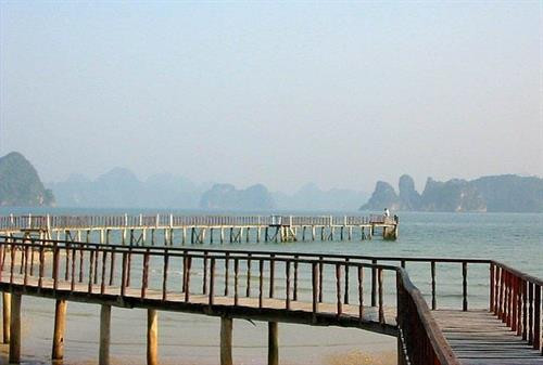 Bãi Dài hoang sơ và thơ mộng ở Quảng Ninh ảnh 1 Bãi Dài hoang sơ và thơ mộng ở Quảng Ninh ảnh 1