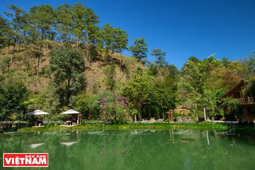 Huyền bí Ma Rừng lữ quán ảnh 11