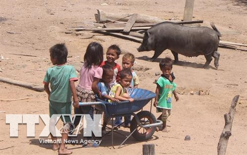 Dù đã được đưa đến nơi ở mới theo diện di dời để xây dựng hồ thủy lợi Ayun Hạ nhưng người dân sinh sống tại làng Heg và Plei Cheng Leng ở xã Chư A Thai (Phú Thiện, Gia Lai) lại quay về nơi ở cũ trong rừng sâu khiến ngôi làng tái định cư trở thành ngôi làng “5 không”: không điện, không đường, không trường, không trạm và không có tương lai. Những đứa trẻ ở đây lớn lên mà không được đi học, không được hưởng các dịch vụ xã hội. Ảnh: Dư Toán – TTXVN Dù đã được đưa đến nơi ở mới theo diện di dời để xây dựng hồ thủy lợi Ayun Hạ nhưng người dân sinh sống tại làng Heg và Plei Cheng Leng ở xã Chư A Thai (Phú Thiện, Gia Lai) lại quay về nơi ở cũ trong rừng sâu khiến ngôi làng tái định cư trở thành ngôi làng “5 không”: không điện, không đường, không trường, không trạm và không có tương lai. Những đứa trẻ ở đây lớn lên mà không được đi học, không được hưởng các dịch vụ xã hội. Ảnh: Dư Toán – TTXVN