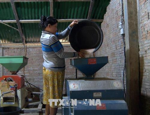 Người dân sắm máy xay xát làm sinh kế thoát nghèo. Ảnh: Phước Ngọc -TTXVN Người dân sắm máy xay xát làm sinh kế thoát nghèo. Ảnh: Phước Ngọc -TTXVN